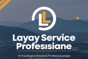 Layanan Profesional